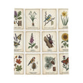 Vintage Botanical & Birds Velveteen Plush Blanket — Floral Nature Illustration Throw