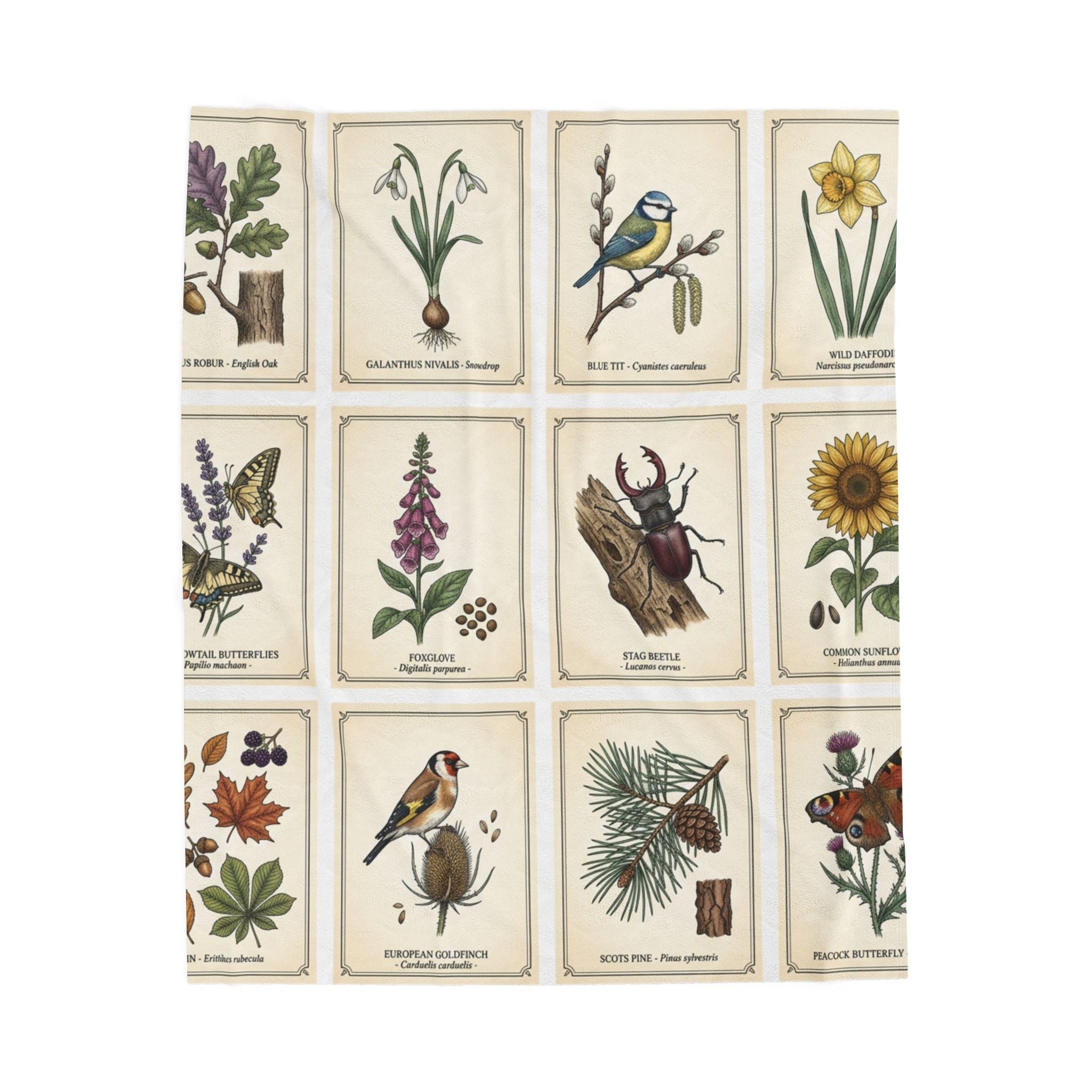 Vintage Botanical & Birds Velveteen Plush Blanket — Floral Nature Illustration Throw